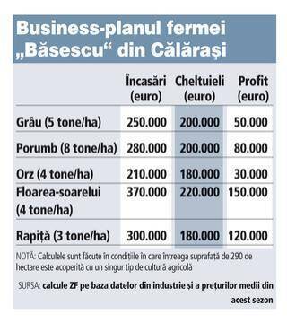 business plan familia basescu