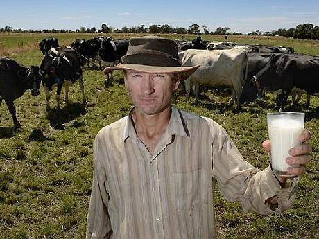 fermier lapte