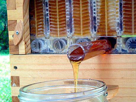 extragerea mierii din stup