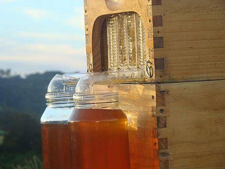 honey-on-tap-flow-hive-stuart-cedar-anderson-2