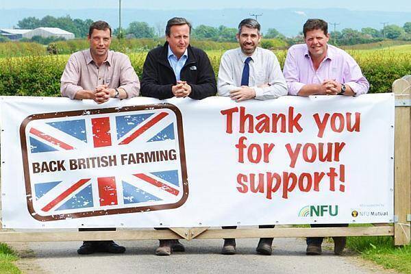 David Cameron in fermele britanicilor