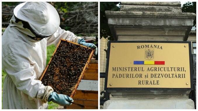 Povestea omului și a albinei în Colinele Transilvaniei