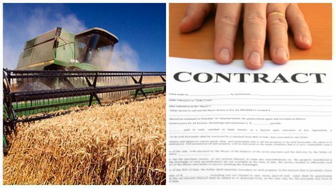 Guvernul a aprobat! Contractul cadru, obligatoriu vânzarea cerealelor