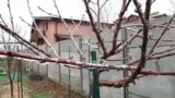Ploaie inghetata 3 Ploaie inghetata 3