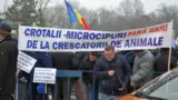 Protestul medicilor veterinari 9