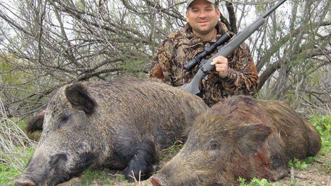 dating de vânătoare de porc