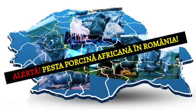 Harta Cu Localitățile Unde S A Găsit Pestă Porcină Africană
