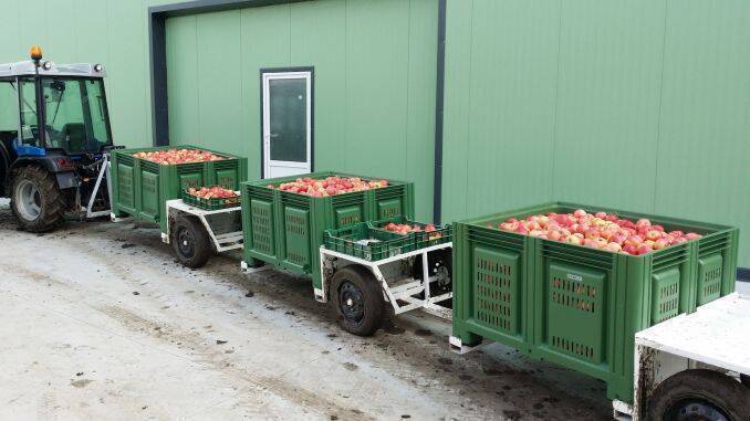 Transportul fructelor in boxpaleti