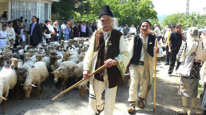 Ciobani in vasta cu oile