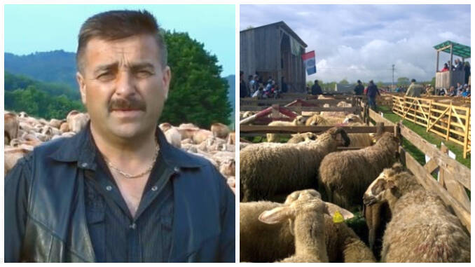 Dan Petrescu despre afacerile cu scrapie la ovine