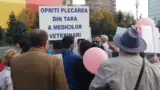 Protest medici veterinari 2018 foto 5