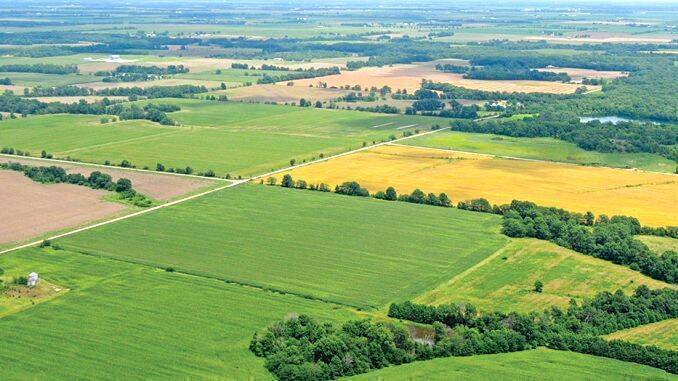 Cel mai scump teren agricol din Romania