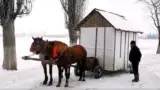 Cioban casa pe roate