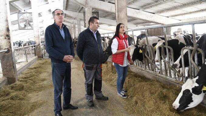 Gabriela Zoana la ferma de vaci