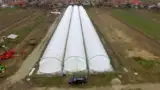 Solarii pentru capsuni