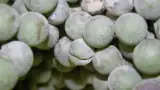 struguri afectati de fainare