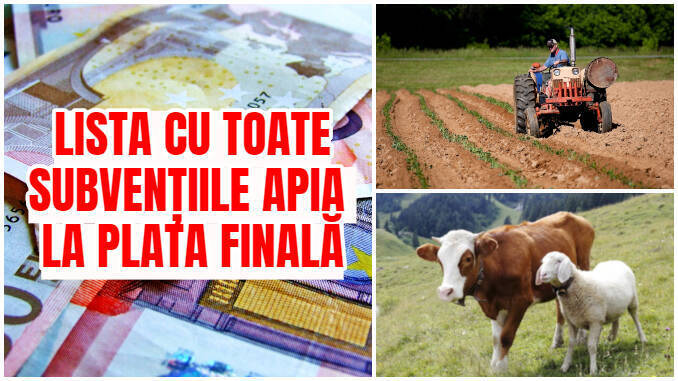 Lista Cu Toate Subvențiile APIA La Plată Pe Hectar și Pe Cap De Animal