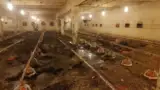 Pui morti incendiu