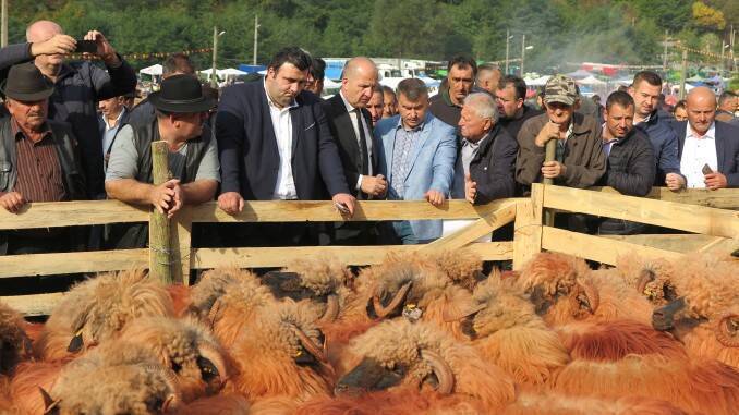 Ziua Turcanei 2019