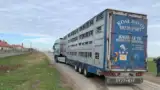 oi3