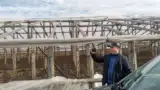solar distrus