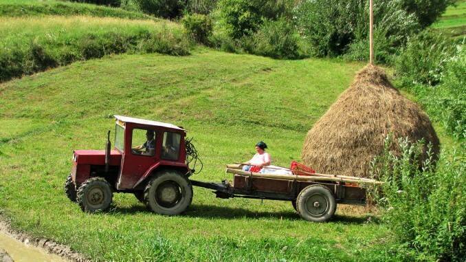fermier-romania-tractor