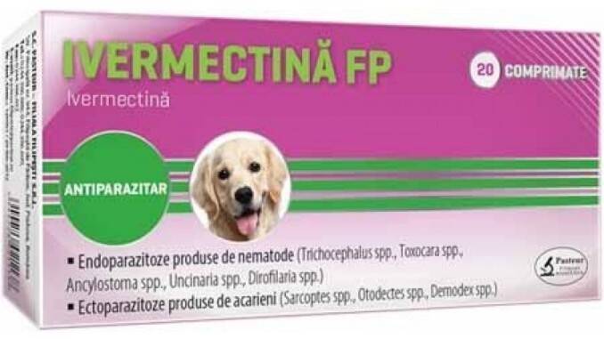medicamente pentru paraziți ivermectină papilloma virus def
