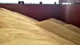 export-cereale