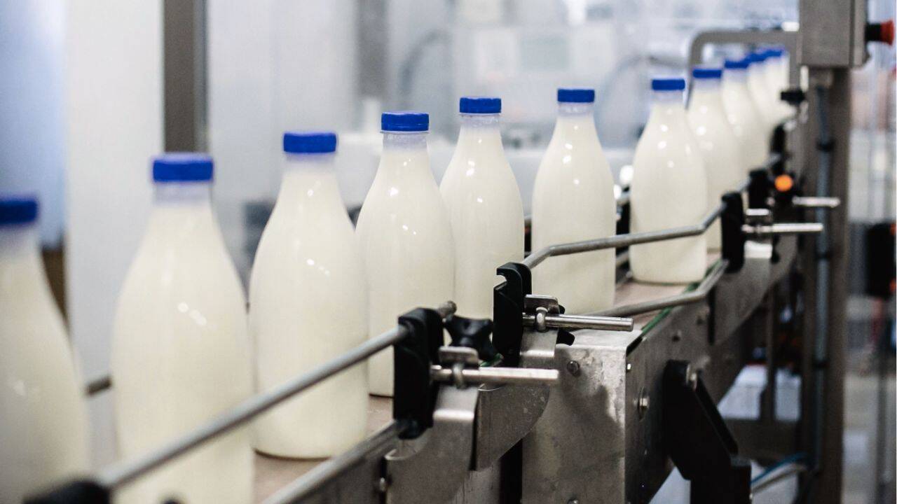 sticle de lapte in fabrica