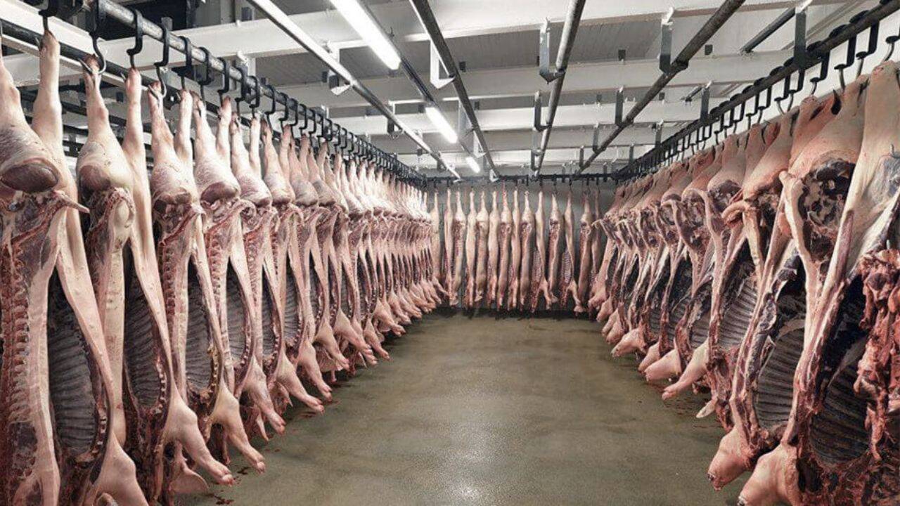 carne de porc intr-un depozit