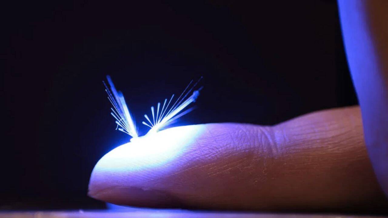 un robot mic si luminos, pe degetul unei persoane
