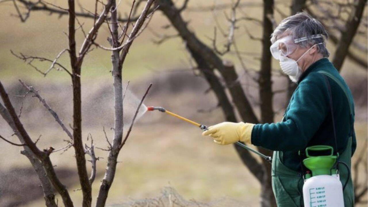 o persoana care uda pomii cu solutie