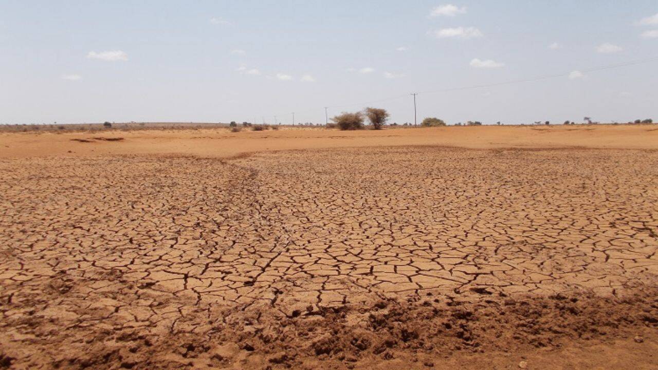 un teren afectat de seceta