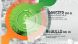 invister-regullo-innvigo