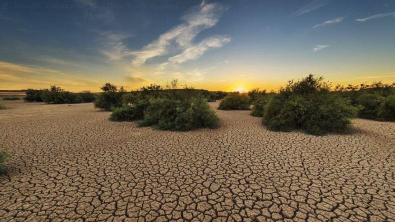 tufisuri pe un sol afectat de seceta extrema