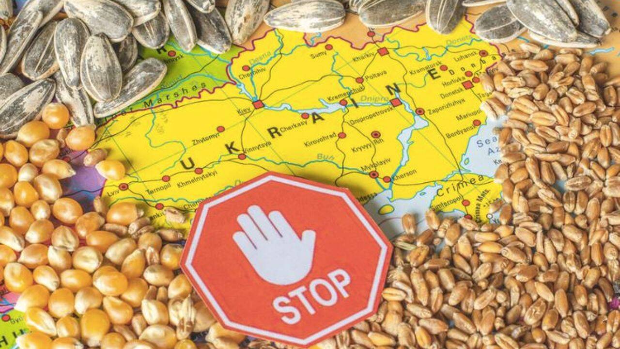 semn cu stop, harta ucrainei si cereale