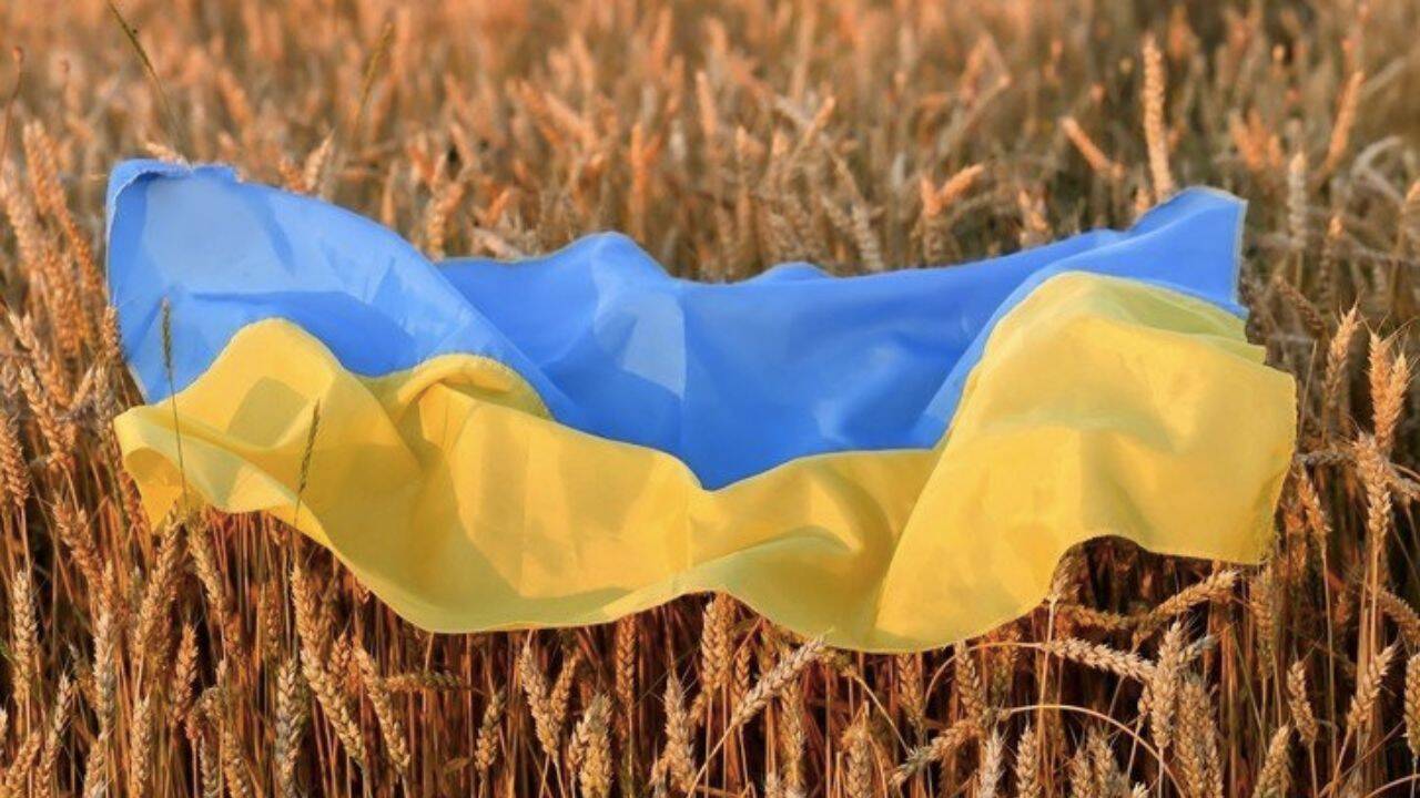 steagul Ucraine pe un lan de grau