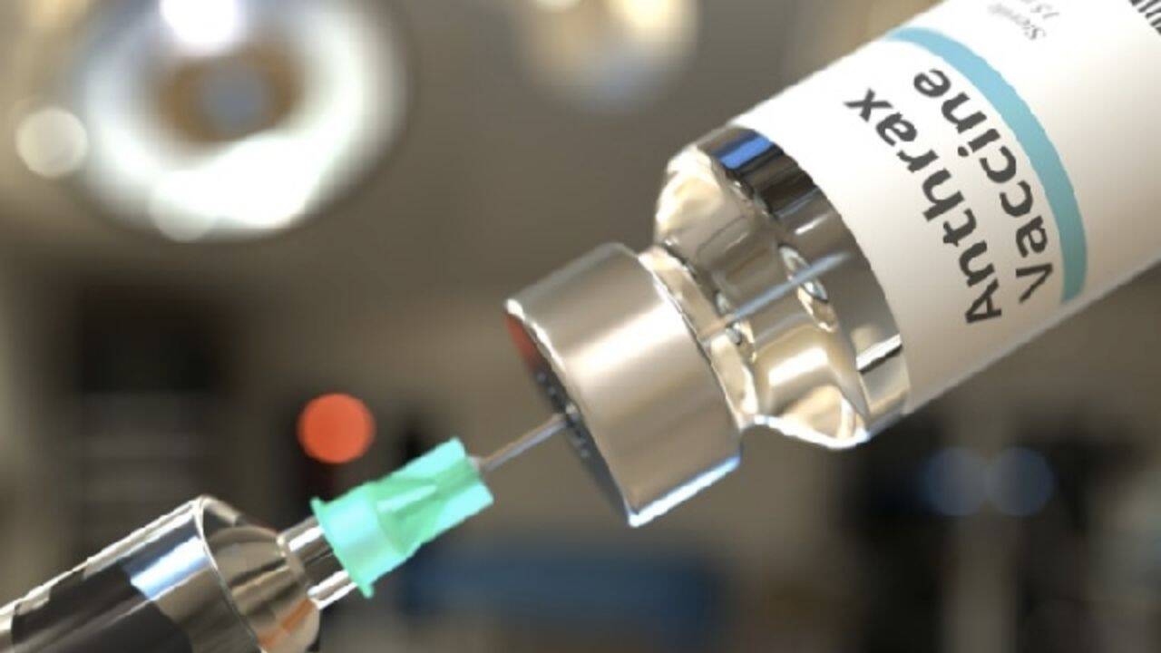 o fiola cu vaccin contra antraxului