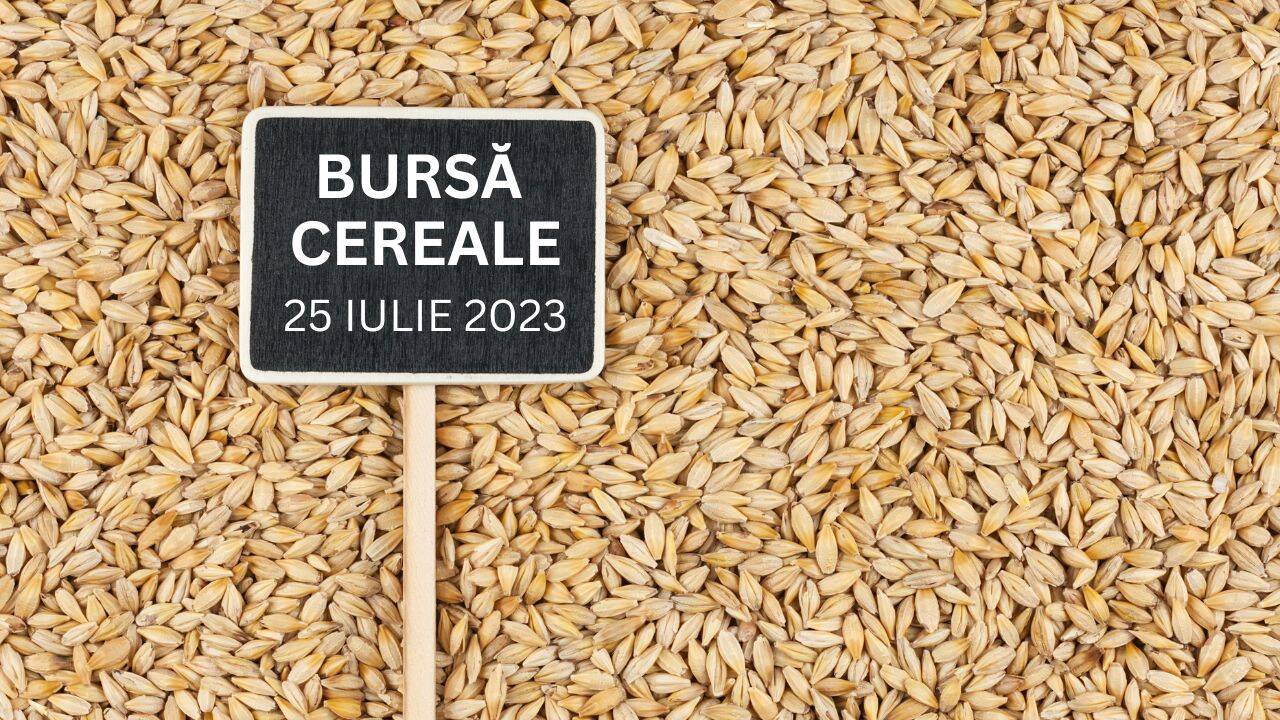 bursa-cerealelor-25-iulie-2023