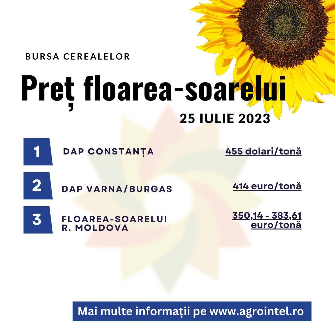 pret-floarea-soarelui-25-iulie-2023