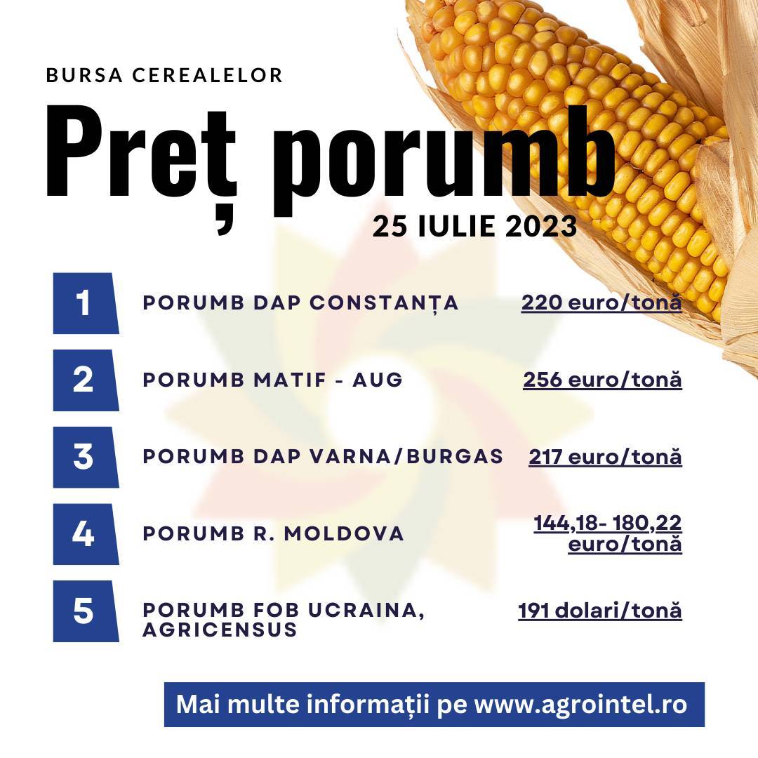 pret-porumb-25-iulie-2023