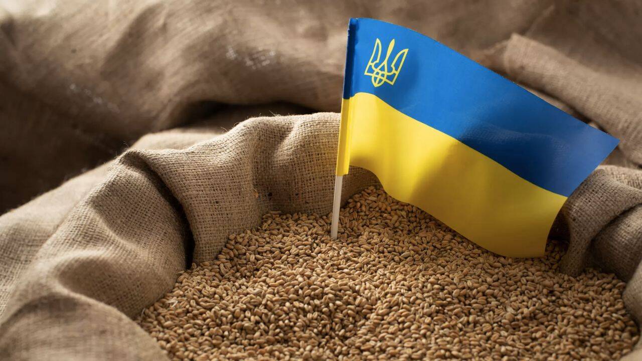 steagul ucrainei intr-un sac de cereale