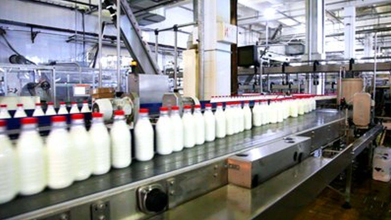 lapte-fabrica-investitii
