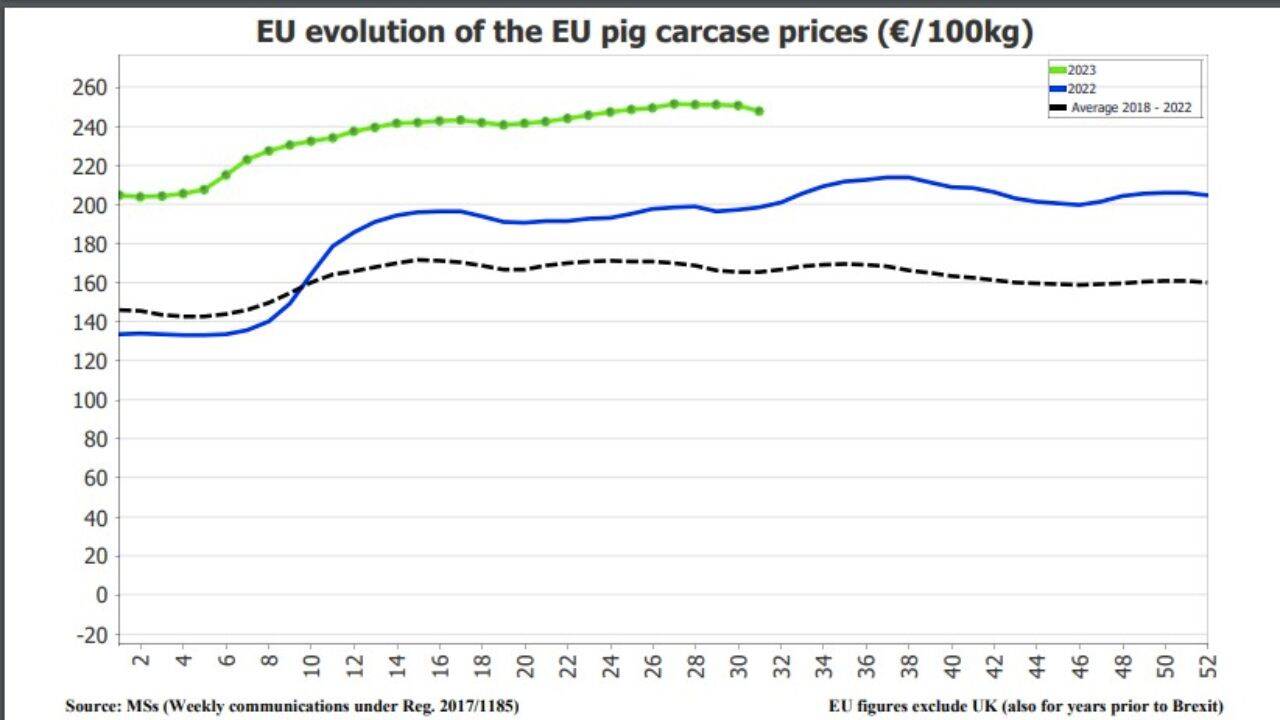 un grafic cu evolutia preturilor la carnea de porc in UE