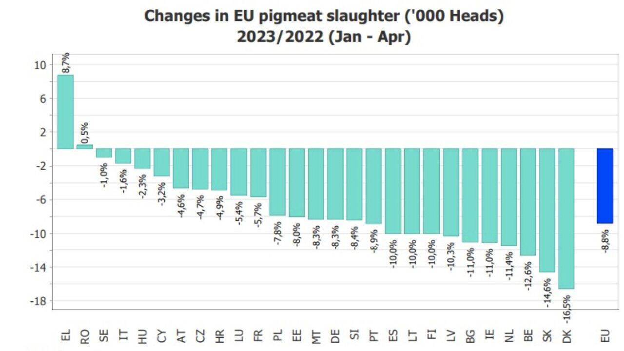 un grafic cu sacrificarile de porci in UE