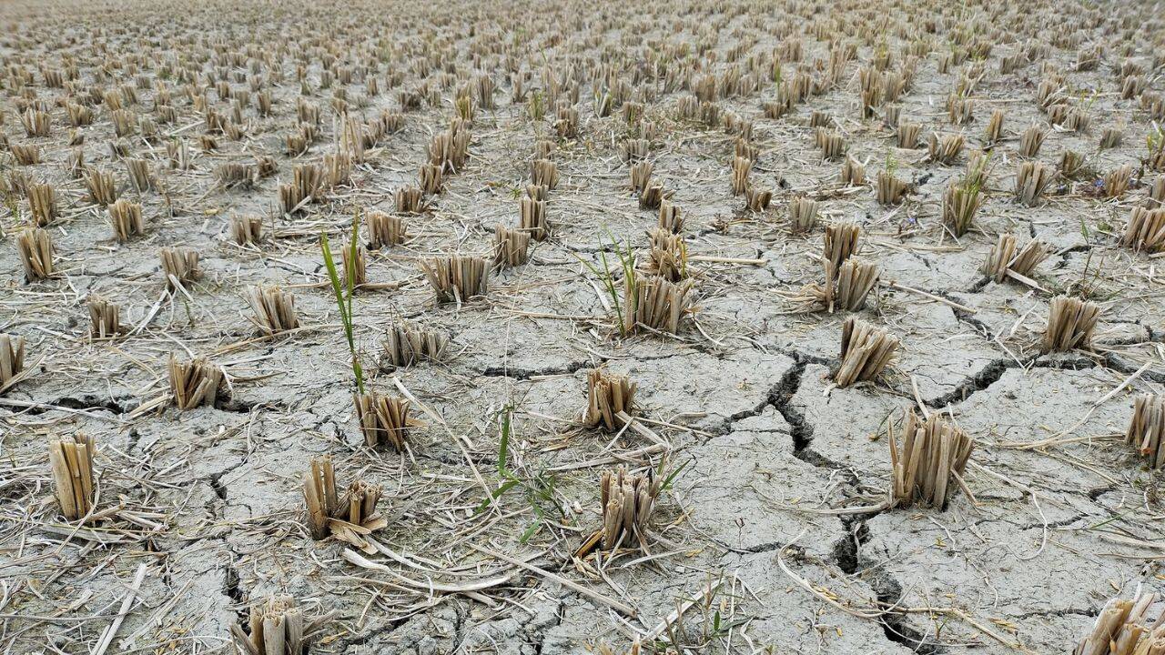 pamant afectat de secetă