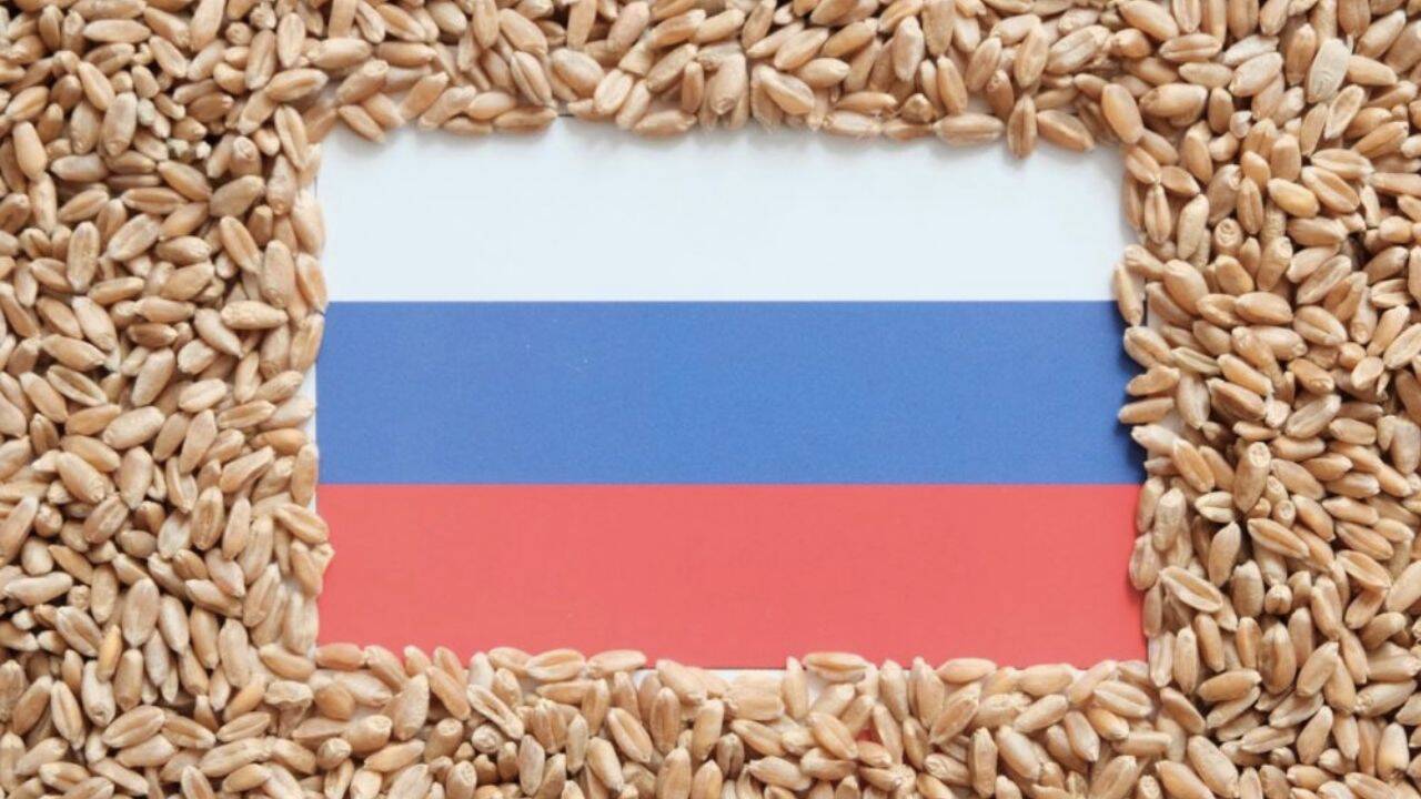 steagul Rusiei inconjurat de boabe de cereale