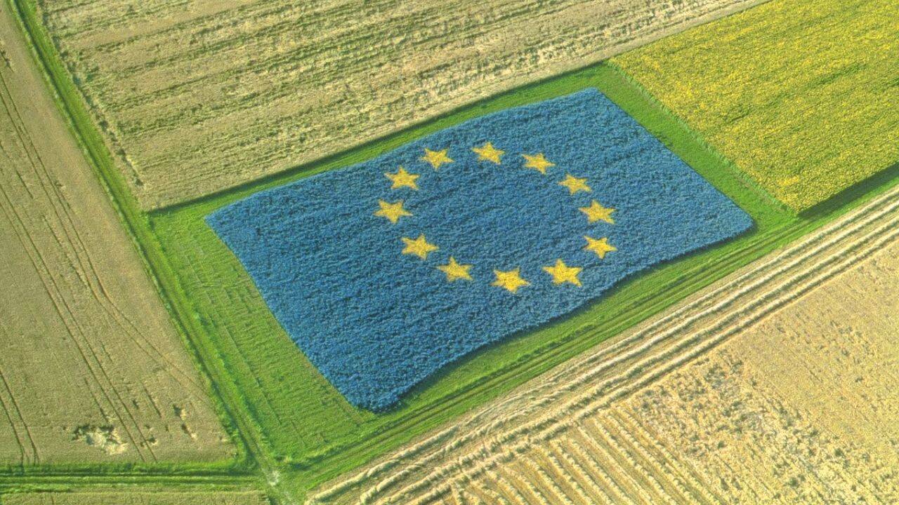 steagul UE pe un camp