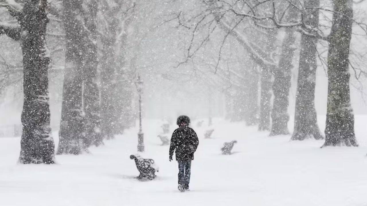 o persoana care se plimba prin ninsoare