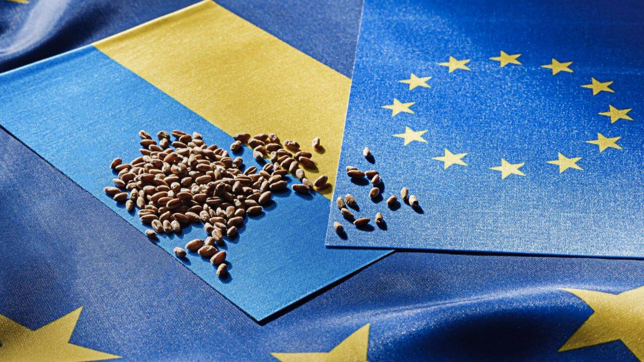 steagul UE si al Ucrainei si boabe de grau